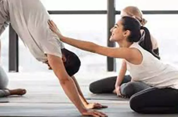 Multi Style Yoga School Images