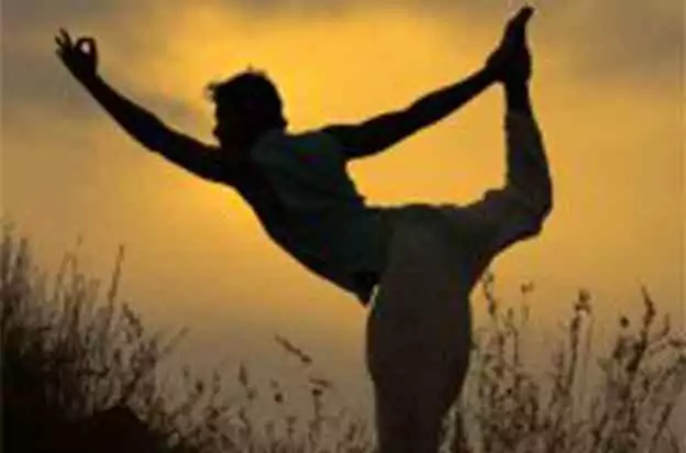 Adiyogam – Best Yoga Retreats and Yoga TTC