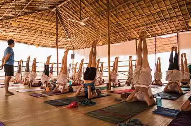 Himalaya Yoga