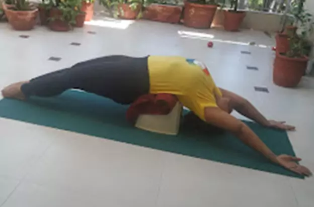 Integral Yoga