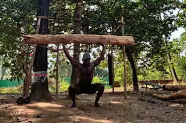 Jungle Gym Hindgram