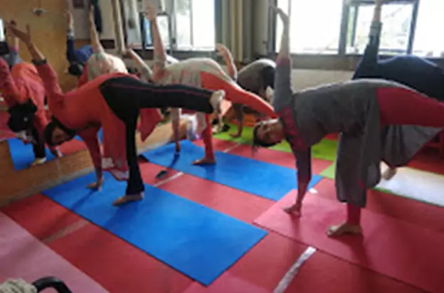 Yog Sarita
