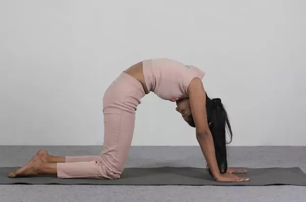 home yoga trainer