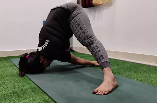 Sanskriti Yoga Classes