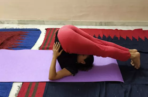 Yog Nirvana Yoga Classes for home