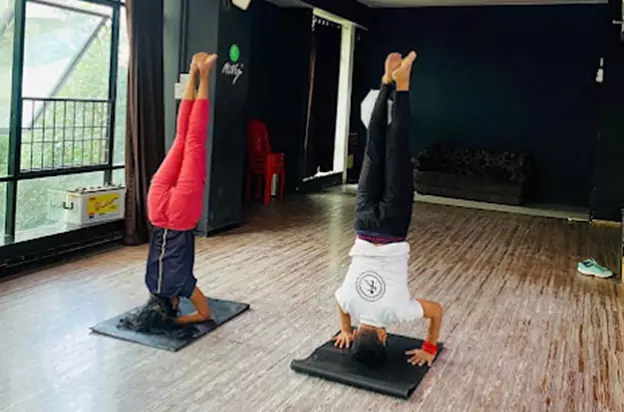 My Fit Lady – Yoga Classes