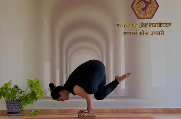 Samatva Yog Institute