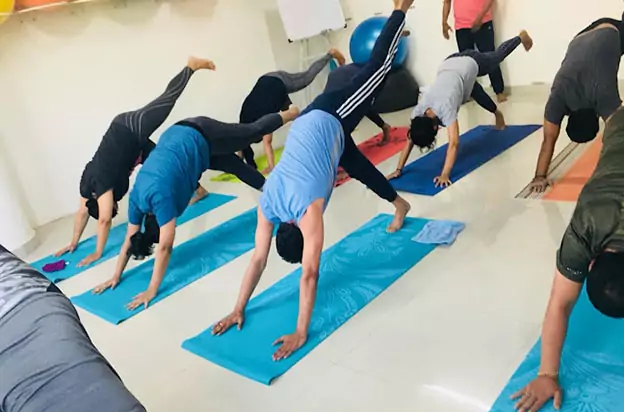 The Yogic Studio
