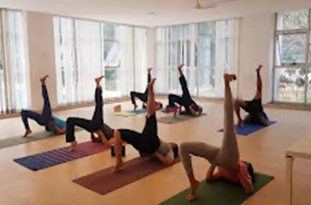 Veeryog yoga studio