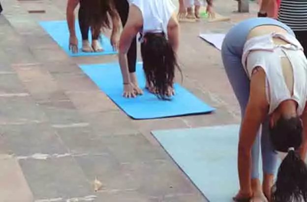 Vinyasa Yog Peeth, Goa