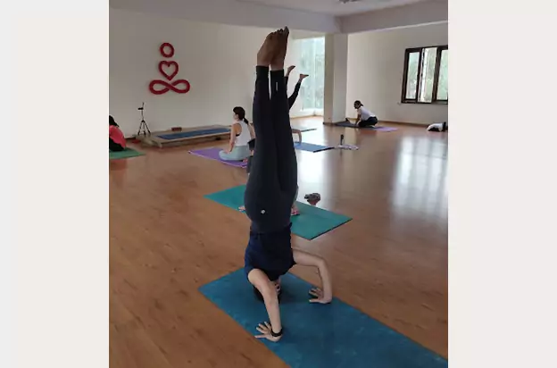 Yoga Sangha – HSR Layout